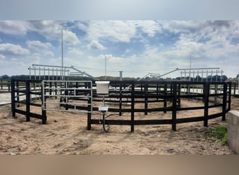 Horse walker, horse exercise system, equine walker, horse treadmill, horse exercise yard, horse turn