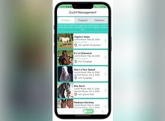 Kostenlose App für Pferdezuchtmanagement