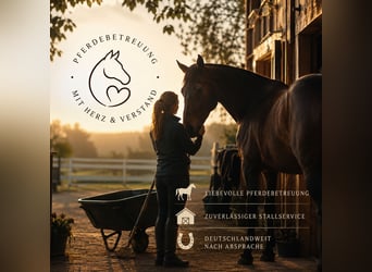 Reliable horse care and stable services – available nationwide