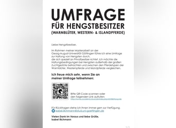 Umfrage Hengsthaltung
