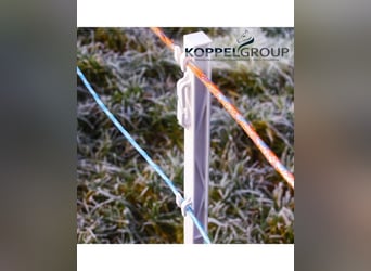 500 meters, 6 mm Maxalon electric fence cord, PREMIUM, orange