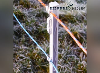 Weidekordel, MAXALON, Weidezaunseil, Koppeldraht, 500m 6mm