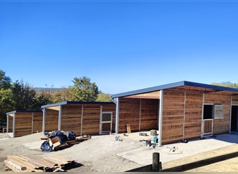 Horse Stable Construction & Stable Building – High-Quality Outdoor Stables from the Manufacturer