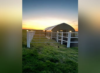 PROMOTION: Large pasture tent, pasture shelter XXL, storage tent, tent, shelter, paddock