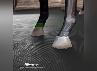 Rubber mats for cattle and horses – stable mats and box mats of top quality equine mats