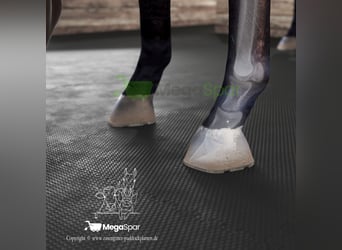 Rubber mats for horses and cattle – stable mats and box mats | Buy lying mats