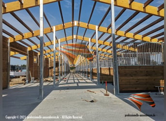 Stable Construction & Horse Stalls, Outdoor Paddocks – Building Horse Stalls and Turnout Pens for Ho