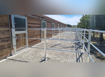 Stable Construction & Horse Stalls | Outdoor Stalls and Horse Boxes – Open Stable for Horses, Ideal 