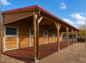 Stable Construction & Horse Stalls | Outdoor Stalls and Horse Boxes – Open Stable for Horses, Ideal 
