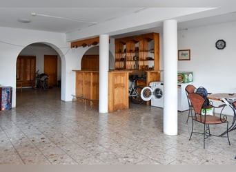 Guesthouse with a horse stable for sale in the city of waters, Tata (Hungary)