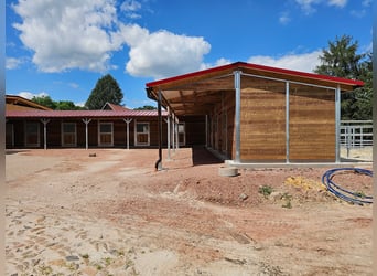 Buy a horse stable – horse boxes, outdoor stables, and stable facilities | Open stall & stable const