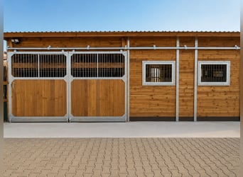 Buy a horse stable – horse boxes, outdoor stables, and stable facilities | Open stall & stable const