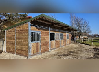 Buy a horse stable – horse boxes, outdoor stables, and stable facilities | Open stall & stable const