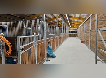 Buy horse stalls for the stable – stall fronts, partition walls, stable walls, and interior boxes fo