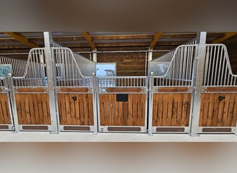 Buy Stables – Horse Stalls & Stall Boxes | Stall Partitions & Stall Fronts for Horses