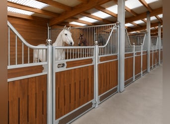 Buy Stables – Horse Stalls & Stall Boxes | Stall Partitions & Stall Fronts for Horses