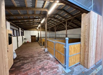 Custom-built horse stalls and accessories tailored to your wishes!