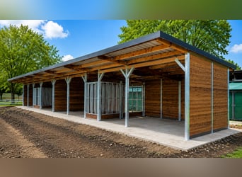 Feed Troughs & Hay Racks for Horses – Horse Feeders and Grazing Mangers | TOP-ACTIVE Horse Care