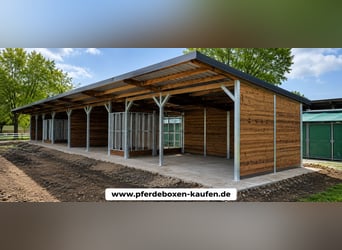 Feed Troughs & Hay Racks for Horses – Horse Feeders and Grazing Mangers | TOP-ACTIVE Horse Care