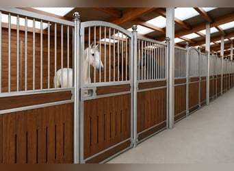 Indoor horse box – stable wall, front panel, and partition wall | complete stables