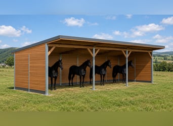 Open stable construction & horse shelter, pasture shelter | pasture hut for horses
