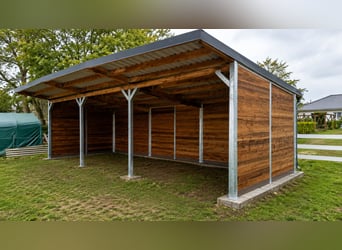 Open stable construction & horse shelter, pasture shelter | pasture hut for horses