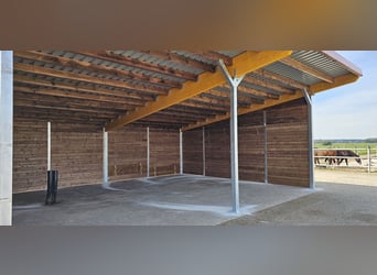 Open stable construction & horse shelter, pasture shelter | pasture hut for horses