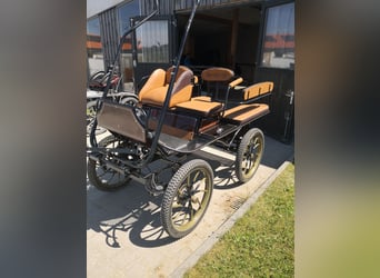 Elegant light brown training wagonette