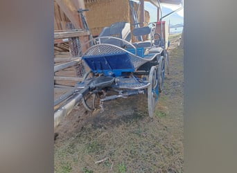 Heavy marathon carriage suitable for driving with 1-2 or 4-in-hand teams