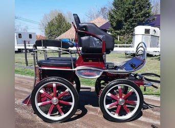 Leon von Hansmeier – Training Cart for Sale