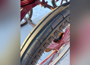 Leon von Hansmeier - Trainingswagen zu verkaufen