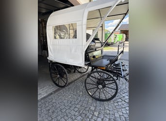 Carriage with disc brakes