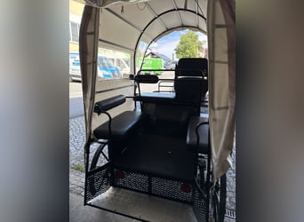 Carriage with disc brakes