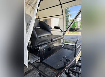 Carriage with disc brakes
