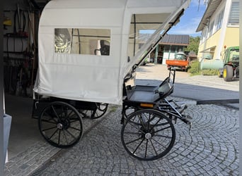 Carriage with disc brakes