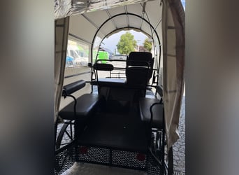 Carriage with disc brakes