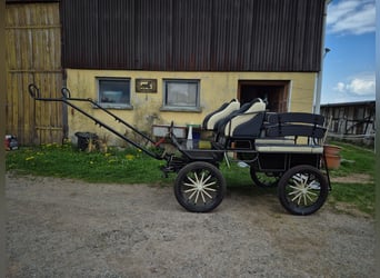 Carriage, marathon carriage, driving school wagon, pony carriage, horse-drawn carriage