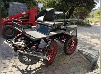 Carriage Marathon Training Cart