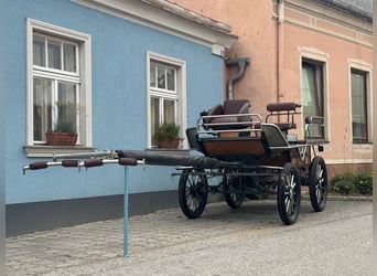 Trainingswagen/Wagonette Kutsche