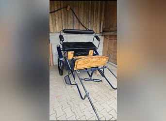 Beautiful gaited horse for sale.