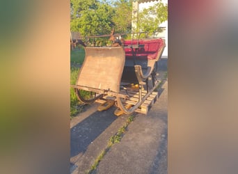 Antique horse-drawn sleigh