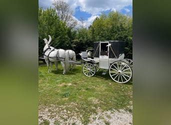 Carrozza Landau originale