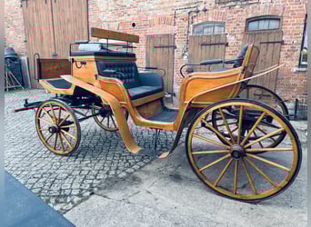 Dreamy horse-drawn carriage – 6 seats, leather and velvet