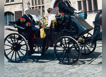 Hochzeitskutsche top jägerwagen