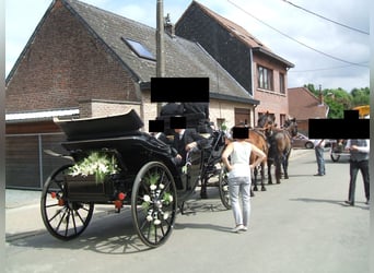Landauer Horse Carriage, Grand Luxe Coach