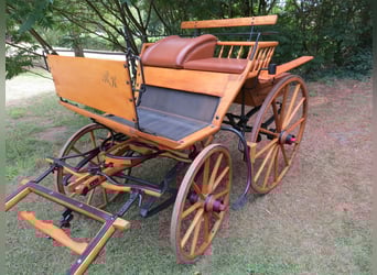 Single-seater Doctor Wagon (Sandschneider), fully restored, ideal for enthusiasts
