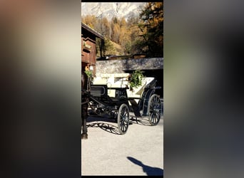 Vittoria model carriage