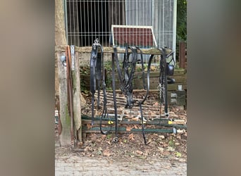 2-Spänner Brustblattgeschirr Leder für WB komplett