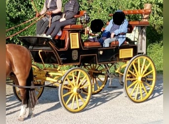 Carriage Break
