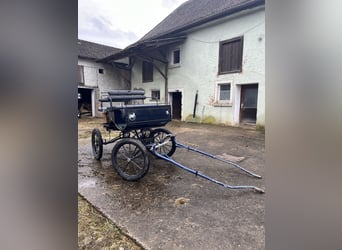 Carriage, single- and pair-driven